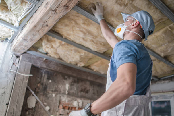 Best Insulation Maintenance and Repair in Rockdale, TX