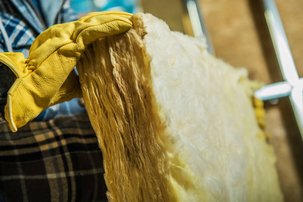 Best Cellulose Insulation in Rockdale, TX